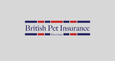 Cane Corso Pet Insurance | Dog Insurance for Cane Corso